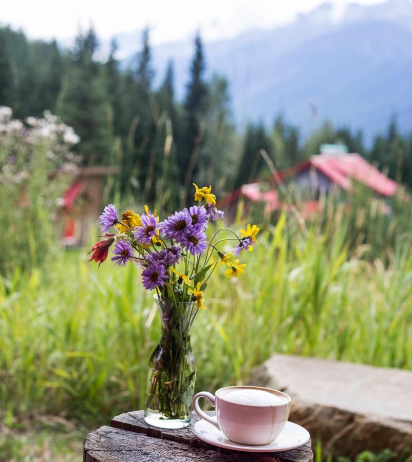Heather Mountain Lodge Rogers Pass 외부 사진
