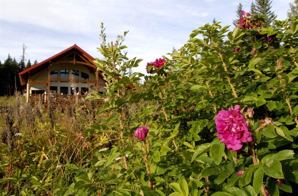 Heather Mountain Lodge Rogers Pass 외부 사진